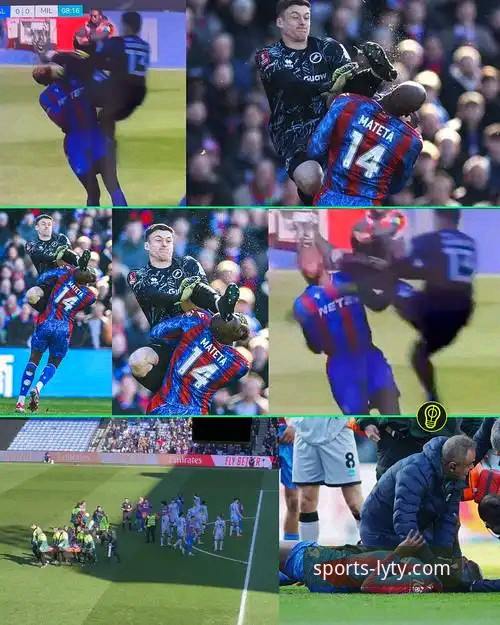 乐鱼体育平台下载 官方渠道 vs 第三方来源:乐鱼体育平台下载的安全与效率之选